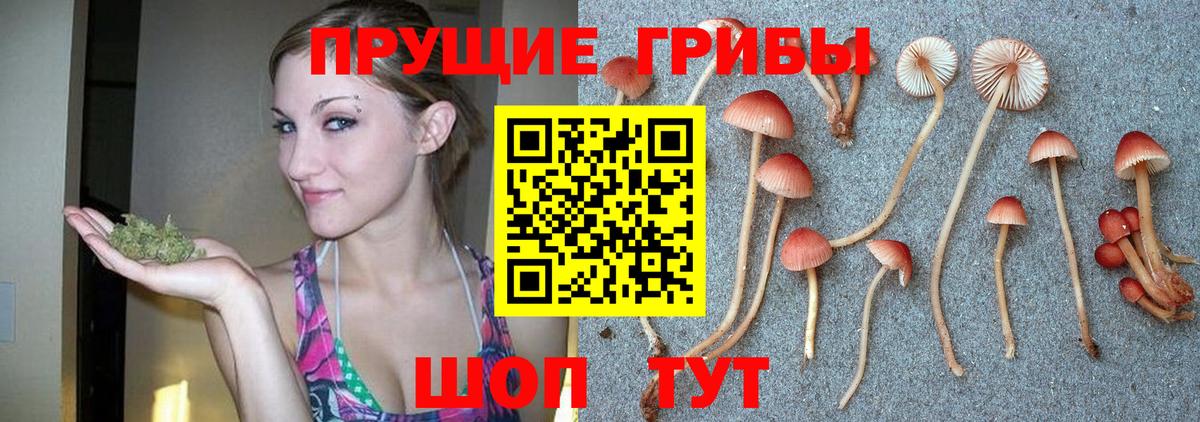 Ленинск-Кузнецкий  Псилоцибиновые грибы мухоморы  Вход с VPN 