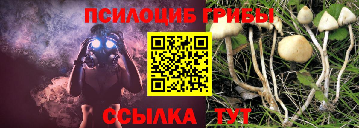 Псилоцибиновые грибы ЛСД Ленинск-Кузнецкий